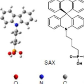 西湖阳光王睿团队合作发现新型正交π骨架的无定型分子
