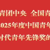 全国表彰，青年榜样